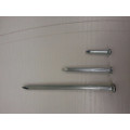 High Standard Galvanized Concrete Nail